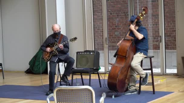 Müzisyenler New York Taki Morgan Kütüphanesi Müzesinde Ağustos 2022 — Stok video