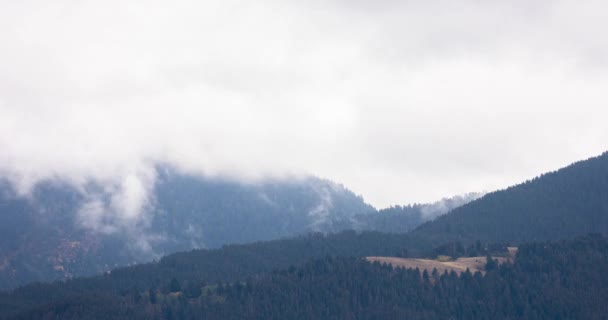 Timelapse Overcast Day Bozeman Montana — Stok Video