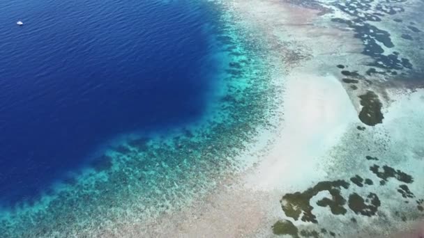 美しい健康的なサンゴ礁海洋生態系の端にダイブボート リモート熱帯島の目的地 アタウロ島 東ティモール 東南アジア 空中ドローンビュー — ストック動画