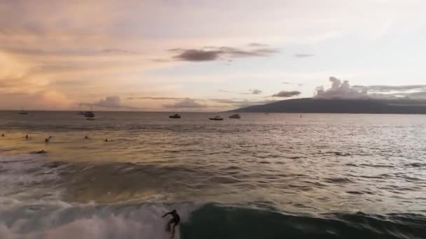 Surfing Maui Aerial View — Stock Video
