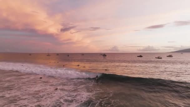 Surfer Vangt Een Epische Golf Hawaï Tijdens Zonsondergang — Stockvideo