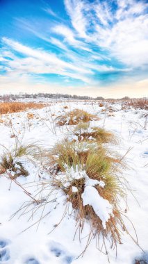 Kış boyunca karla kaplı çalılar ve çimlerle kaplı dondurucu bir gün batımı. Konum: Ternopil, Ukrayna, Avrupa