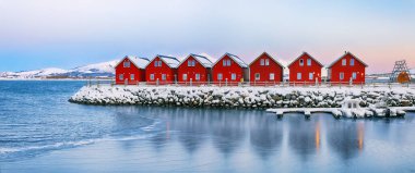 Gorgeous scenery wit traditional red wooden houses on the shore of Offersoystraumen fjord. Popular travel destination on Lofotens. Location: Vestvagoy island, Lofoten; Norway, Europe