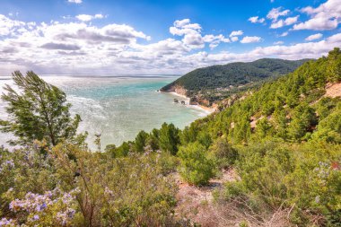 Gorgeous islets Faraglioni di Puglia in summer Adriatic sea bay Baia Delle Zagare. Mattinata Faraglioni stacks and beach coast of Mergoli, Vieste Gargano, Apulia, Italy. Europe