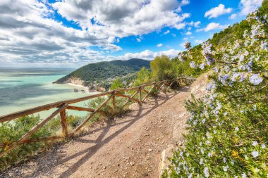 Yaz Aylarında Pitoresk adacıklar Faraglioni di Puglia Adriyatik deniz koyu Baia Delle Zagare. Mattinata Faraglioni yığınları ve Mergoli, Vieste Gargano, Apulia, İtalya sahil sahili. Avrupa