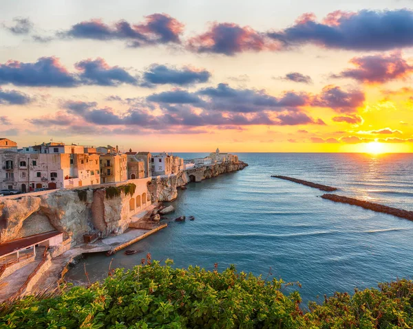 Vieste Schöne Küstenstadt Auf Den Felsen Apulien Die Kirche Von — Stockfoto