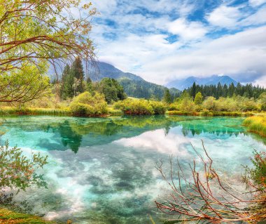 Zelenci Gölü 'nün muhteşem yaz manzarası ve sudaki güzel yansımaları. Triglav Ulusal Parkı 'ndaki doğa manzarası. Yeri, Triglav Ulusal Parkı. Kranjska Gora, Slovenya, Avrupa.