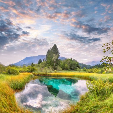 Zelenci Gölü 'nün muhteşem yaz manzarası ve sudaki güzel yansımaları. Triglav Ulusal Parkı 'ndaki doğa manzarası. Yeri, Triglav Ulusal Parkı. Kranjska Gora, Slovenya, Avrupa.