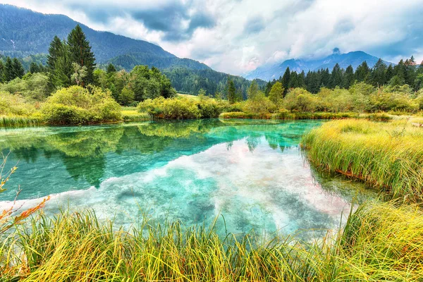 Erstaunlicher Sommerblick Auf Den Zelenci See Mit Schönen Reflexen Wasser — Stockfoto