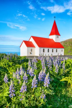 Vikurkirkja Hristiyan kilisesinin çiçek açması nefes kesici bir manzara. En popüler turizm merkezi. Konum: Myrdal Vadisi 'ndeki Vik köyü, İzlanda, Avrupa.