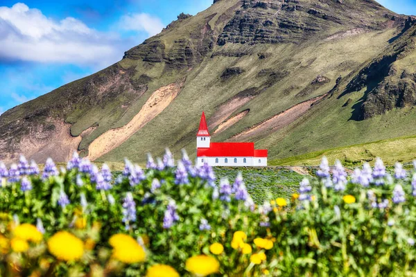 Atemberaubender Blick Auf Die Christliche Kirche Von Vikurkirkja Blühenden Lupinenblumen — Stockfoto