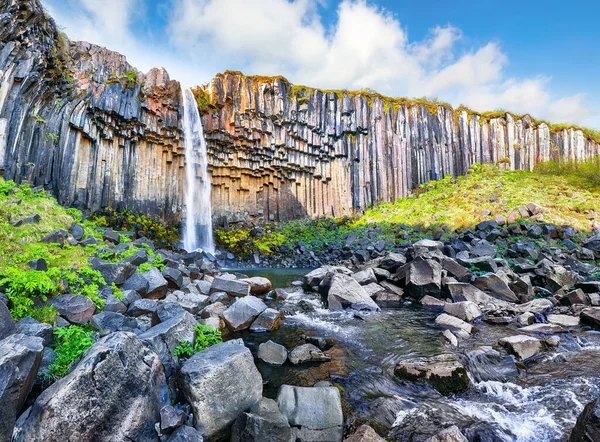 Impresionante Vista Cascada Svartifoss Con Columnas Basalto Sur Islandia Ubicación Imagen De Stock