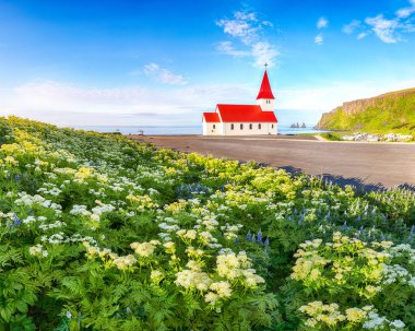 Vikurkirkja Hristiyan kilisesinin çiçek açması nefes kesici bir manzara. En popüler turizm merkezi. Konum: Myrdal Vadisi 'ndeki Vik köyü, İzlanda, Avrupa.