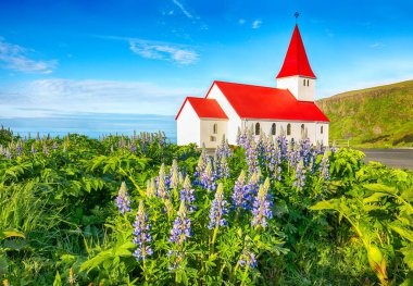 Vikurkirkja Hristiyan kilisesinin çiçek açması nefes kesici bir manzara. En popüler turizm merkezi. Konum: Myrdal Vadisi 'ndeki Vik köyü, İzlanda, Avrupa.