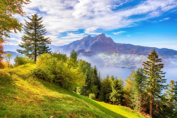 令人叹为观止的秋景 在斯坦斯塔德市郊和卢塞恩湖畔 有山头和雾气 瑞士阿尔卑斯山的教皇旅行目的地 Stansstad Canton Nidwalden Switzerland Europe — 图库照片