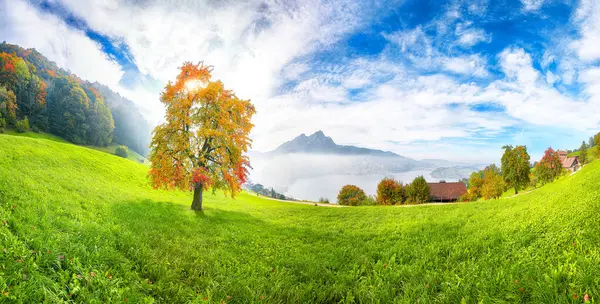 Gorgeous autumn view on suburb of Stansstad city and Lucerne lake with mountaines and fog. Poppular travel destination in Swiss Alps.   Location: Stansstad, Canton of Nidwalden, Switzerland, Europe