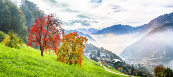 スタンスタッド市とルツェルン湖の郊外で 山と霧で秋の景色を魅了しています スイスアルプスのポピュラーな旅行先 スタンスタッド ニドワルデン スイス ヨーロッパ ストックフォト
