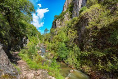 Turda Vadisi 'nin (Cheile Turzii) doğal rezervi Hasdate nehri üzerindeki yürüyüşler için işaretli patikalarla inanılmaz bir manzarası var. Konum: Turda yakınlarında Cluj-Napoca, Transilvanya, Romanya ve Avrupa 'da