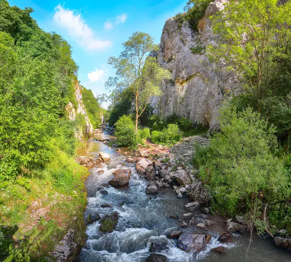 Turda Vadisi 'nin (Cheile Turzii) doğal rezervi Hasdate nehri üzerindeki yürüyüşler için işaretli patikalarla inanılmaz bir manzarası var. Konum: Turda yakınlarında Cluj-Napoca, Transilvanya, Romanya ve Avrupa 'da