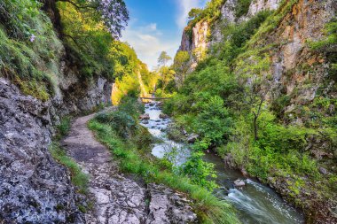 Amazing view of Turda Gorge (Cheile Turzii) natural reserve with marked trails for hikes on Hasdate river.  Location: near Turda close to Cluj-Napoca, in Transylvania, Romania, Europe clipart