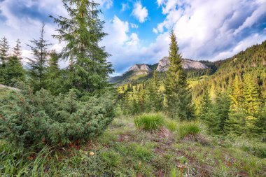 Pietrele Albe 'nin yaz mevsimindeki dağ zirvesinin muhteşem manzarası. Apuseni Doğal Parkı, Cluj İlçesi, Transilvanya, Romanya ve Avrupa 'da muhteşem gün batımı