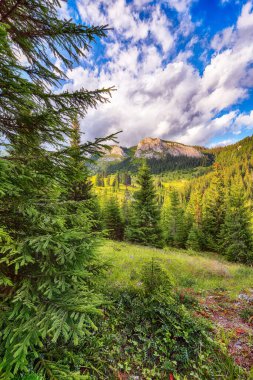 Pietrele Albe 'nin yaz mevsimindeki dağ zirvesinin muhteşem manzarası. Apuseni Doğal Parkı, Cluj İlçesi, Transilvanya, Romanya ve Avrupa 'da muhteşem gün batımı
