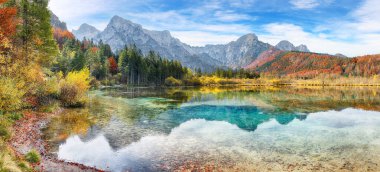 Almsee Gölü 'nde güneşli bir sabahın nefes kesici sonbahar sahnesi. Popüler seyahat yeri. Konum: Almsee Gölü, Almtal Vadisi, Salzkammergut Bölgesi, Yukarı Avusturya, Avusturya, Avrupa.