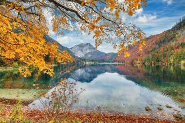 Vorderer Langbasee Gölü 'nün büyüleyici sonbahar sahnesi. Popüler seyahat yeri. Konum: Vorderer Langbasee, Salzkammergut bölgesi, Yukarı Avusturya, Avusturya, Avrupa.