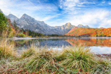 Almsee Gölü 'nde güneşli bir günün muhteşem sonbahar sahnesi. Popüler seyahat yeri. Konum: Almsee Gölü, Almtal Vadisi, Salzkammergut Bölgesi, Yukarı Avusturya, Avusturya, Avrupa.