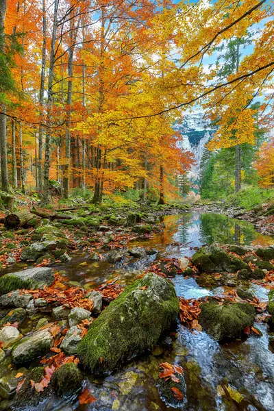 Hinterer Langbasee Gölü yakınlarında büyüleyici bir sonbahar sahnesi. Popüler seyahat yeri. Konum: Vorderer Langbasee, Salzkammergut bölgesi, Yukarı Avusturya, Avusturya, Avrupa.
