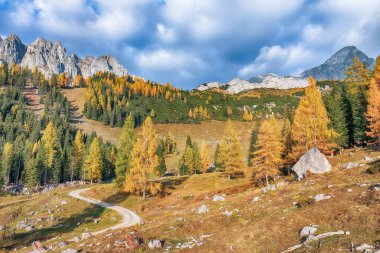 Filzmoos 'da karaçam ormanı ve muhteşem gökyüzü olan dağların ve vadilerin muhteşem manzarası yer almaktadır. Yer: Filmooos, St. Johann im Pongau bölgesi, Salzburg eyaleti, Avusturya