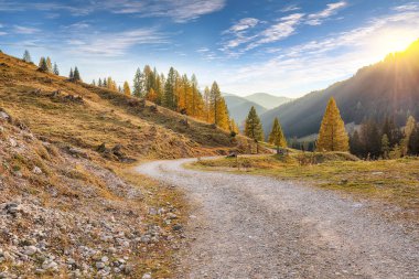 Filzmoos 'da karaçam ormanı ve muhteşem gökyüzü olan dağların ve vadilerin muhteşem manzarası yer almaktadır. Yer: Filmooos, St. Johann im Pongau bölgesi, Salzburg eyaleti, Avusturya