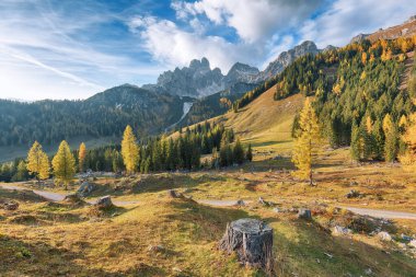 Filzmoos 'da karaçam ormanı ve harika gökyüzü olan dağların ve vadilerin muhteşem manzarası yer almaktadır. Yer: Filmooos, St. Johann im Pongau bölgesi, Salzburg eyaleti, Avusturya