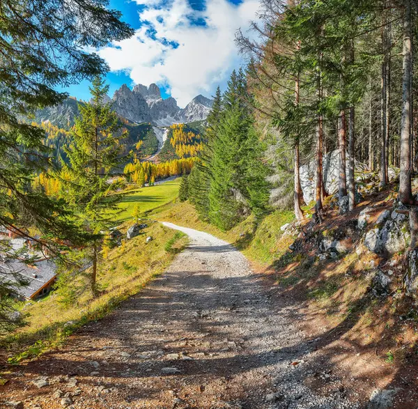 Filzmoos 'da karaçam ormanı ve harika gökyüzü olan dağların ve vadilerin hayret verici manzarası bulunmaktadır. Yer: Filmooos, St. Johann im Pongau bölgesi, Salzburg eyaleti, Avusturya