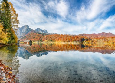 Almsee Gölü 'nde güneşli bir sabahın nefes kesici sonbahar sahnesi. Popüler seyahat yeri. Konum: Almsee Gölü, Almtal Vadisi, Salzkammergut Bölgesi, Yukarı Avusturya, Avusturya, Avrupa.