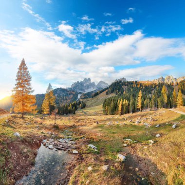 Filzmoos 'da karaçam ormanı ve muhteşem gökyüzü olan dağların ve vadilerin muhteşem manzarası yer almaktadır. Yer: Filmooos, St. Johann im Pongau bölgesi, Salzburg eyaleti, Avusturya