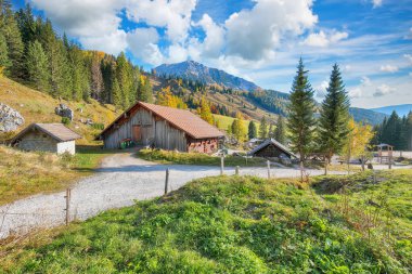 Filzmoos 'da karaçam ormanı ve harika gökyüzü olan dağların ve vadilerin muhteşem manzarası yer almaktadır. Yer: Filmooos, St. Johann im Pongau bölgesi, Salzburg eyaleti, Avusturya