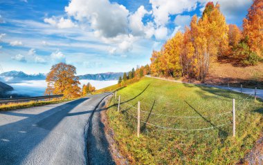 Zell Gölü veya Zeller See çevresindeki çayır ve dağların inanılmaz manzarası. Yer: Zell am See, Zell am See District, Salzburg State, Avusturya