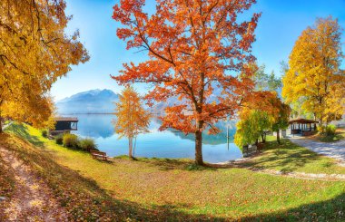 Gorgeous view of the park and mountains around  Zell lake or Zeller See .  Location:  Zell am See,  Zell am See district, Salzburg state, Austria clipart