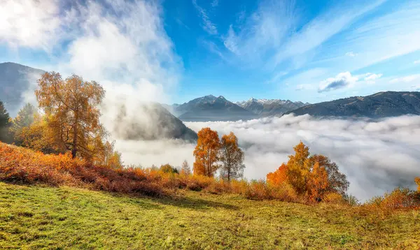 stock image Spectacular view of the meadows and mountains around  Zell lake or Zeller See .  Location:  Zell am See,  Zell am See district, Salzburg state, Austria