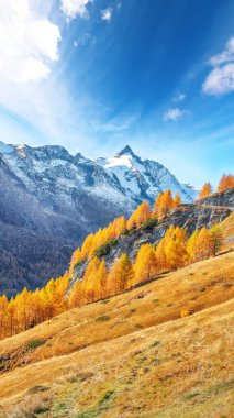Grossglockner High Alpine Yolu 'ndaki sonbahar manzarası göz kamaştırıcı. Yer: Grossglockner yüksek alp yolu, Salzburg ve Carinthia Eyaleti arasında, Avusturya