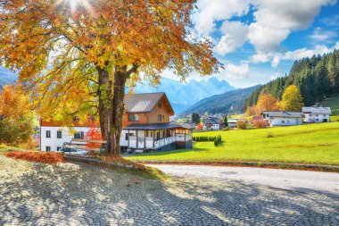 Alp yeşili tarlaların ve Gosau köyünün güneşli sonbahar manzaralı geleneksel ahşap evlerin muhteşem manzarası. Konum: Gosau, Gmunden bölgesi, Yukarı Avusturya devleti, Avusturya
