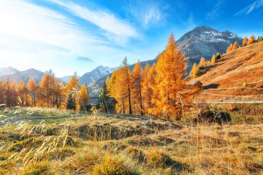 Grossglockner High Alpine Yolu 'ndaki muhteşem sonbahar manzarası. Popüler seyahat yeri. Yer: Grossglockner yüksek alp yolu, Salzburg ve Carinthia Eyaleti arasında, Avusturya