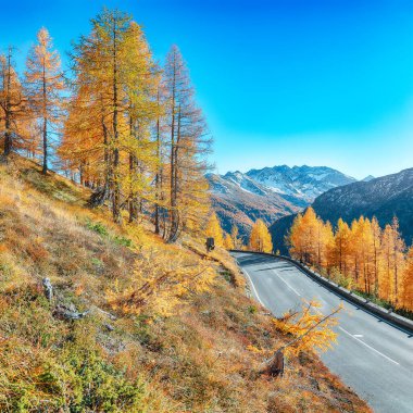Grossglockner High Alpine Yolu 'nun sonbaharda muhteşem manzarası. Yer: Grossglockner yüksek alp yolu, Salzburg ve Carinthia Eyaleti arasında, Avusturya