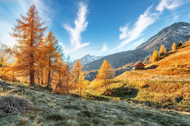 Grossglockner High Alpine Yolu 'ndaki muhteşem sonbahar manzarası. Popüler seyahat yeri. Yer: Grossglockner yüksek alp yolu, Salzburg ve Carinthia Eyaleti arasında, Avusturya