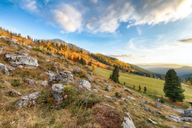 Filzmoos 'da karaçam ormanı ve harika gökyüzü olan dağların ve vadilerin hayret verici manzarası bulunmaktadır. Yer: Filmooos, St. Johann im Pongau bölgesi, Salzburg eyaleti, Avusturya
