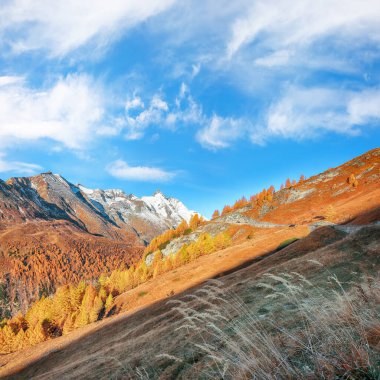 Grossglockner High Alpine Yolu 'ndaki Grossglockner Dağı' nın muhteşem sonbahar manzarası. Popüler seyahat yeri. Yer: Grossglockner yüksek alp yolu, Salzburg ve Carinthia Eyaleti arasında, Avusturya