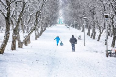 Şehir parkında karla kaplı ağaçlarla muhteşem bir manzara. Kış mevsiminin güzelliği.