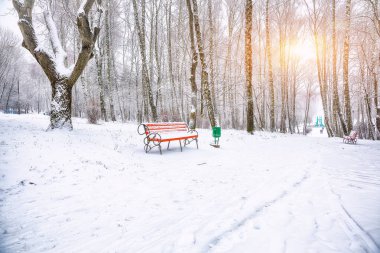 İnanılmaz bir park manzarası ve yoğun karla kaplı ağaçlar. Çok kar var. Kış manzarası