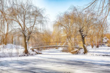 Şehir parkında karlı ağaçlar, güzel donmuş nehir ve yaya köprüsü olan muhteşem bir manzara. Kış manzarası